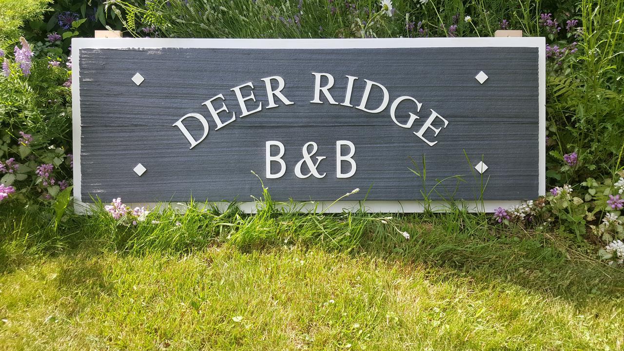 Deer Ridge B&B Golden Eksteriør billede